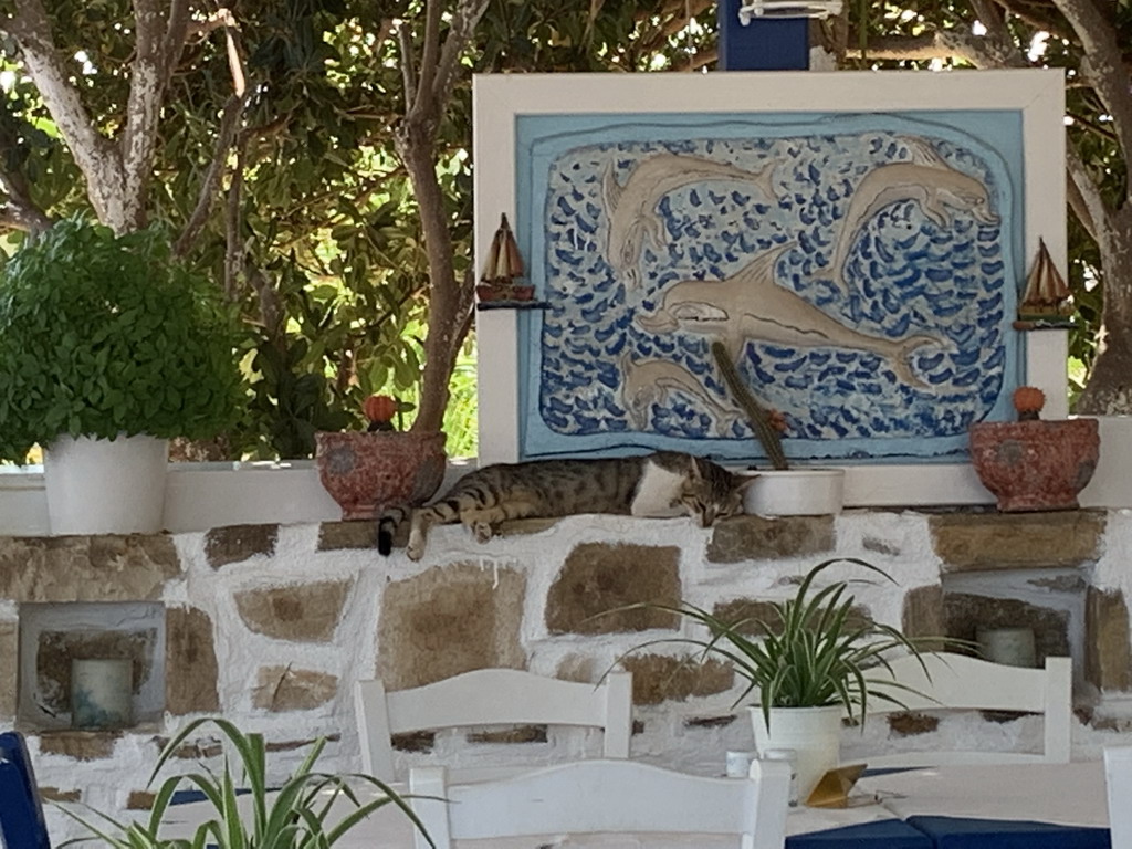  Krit ljubav na drugi pogled 